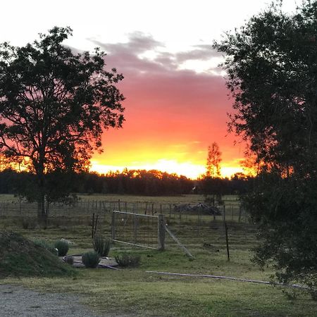 Lovedale Red Gum Cottage 외부 사진