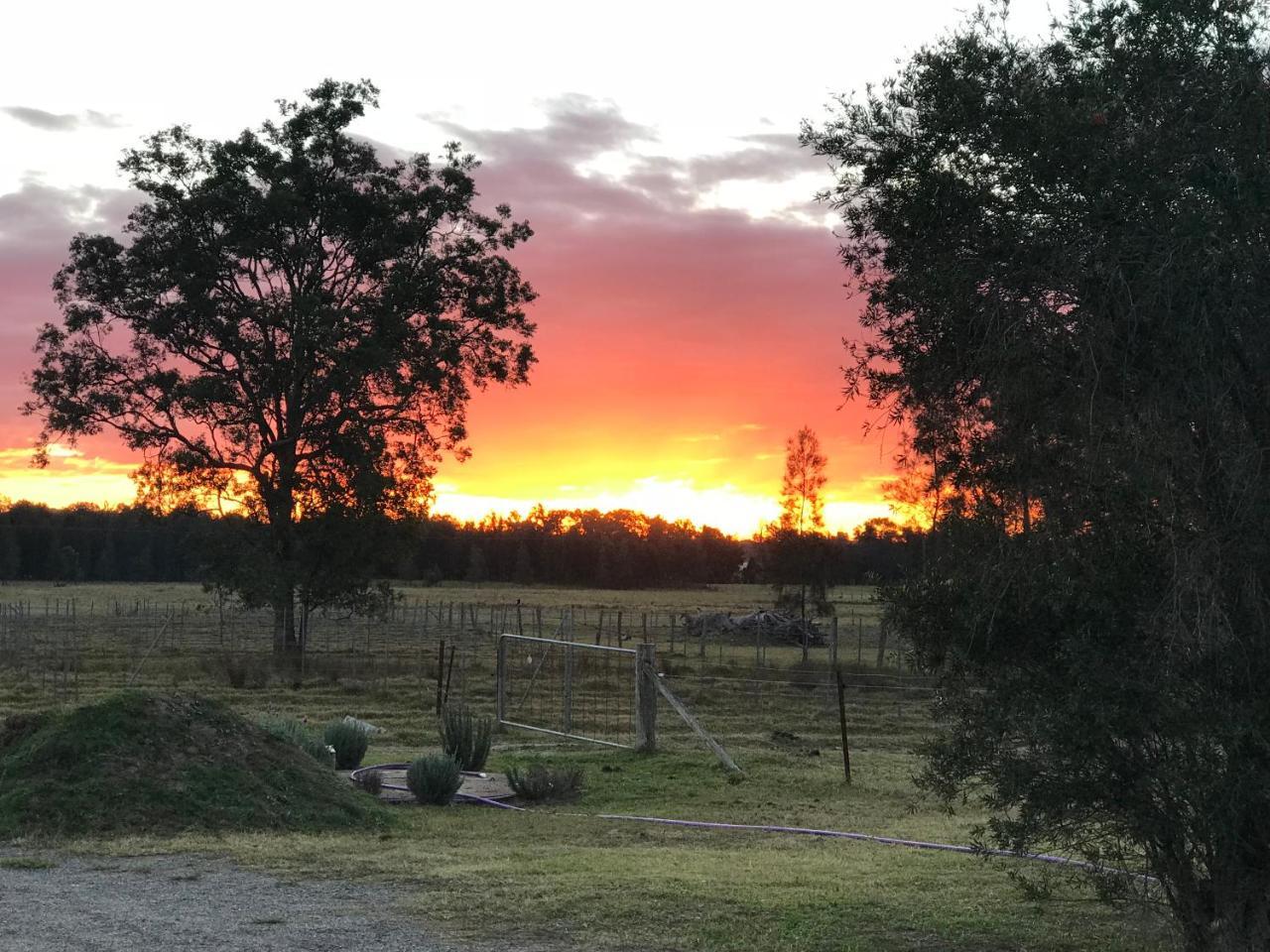 Lovedale Red Gum Cottage 외부 사진