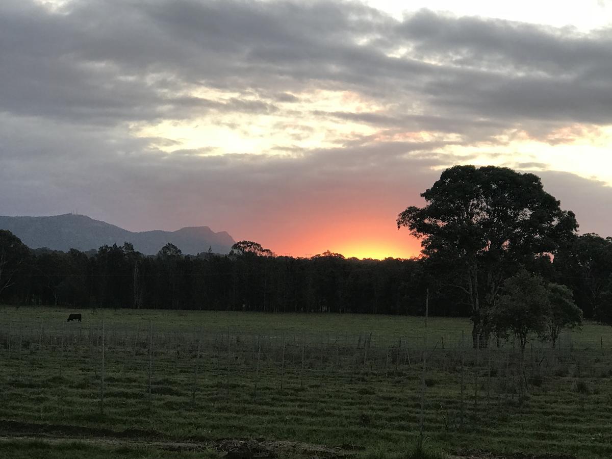 Lovedale Red Gum Cottage 외부 사진
